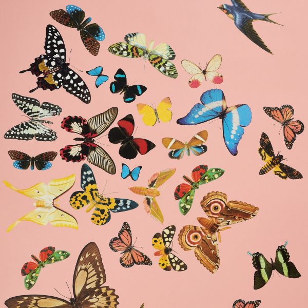 QUEEN S FLIGHT PANEL SET - PINK on Sale - Image 5