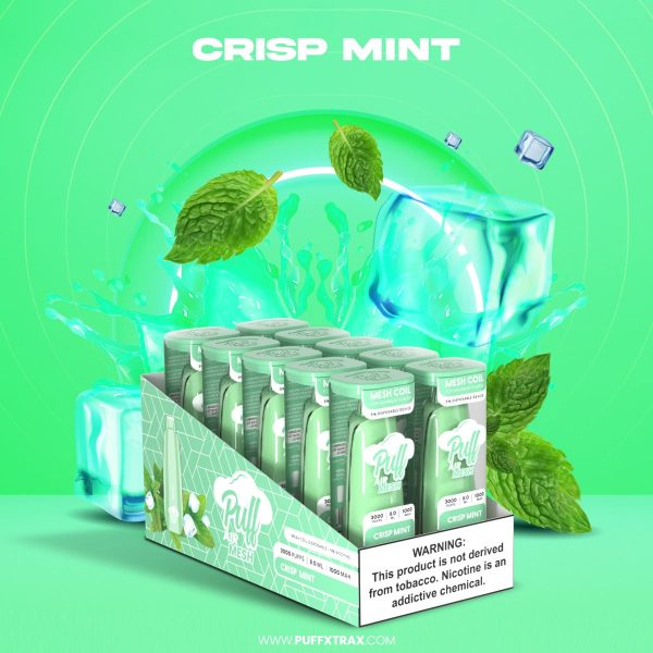 Puff Air Mesh Disposable 10 Pack For Sale - Image 5